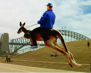 riding-kangaroo-sydney.jpg